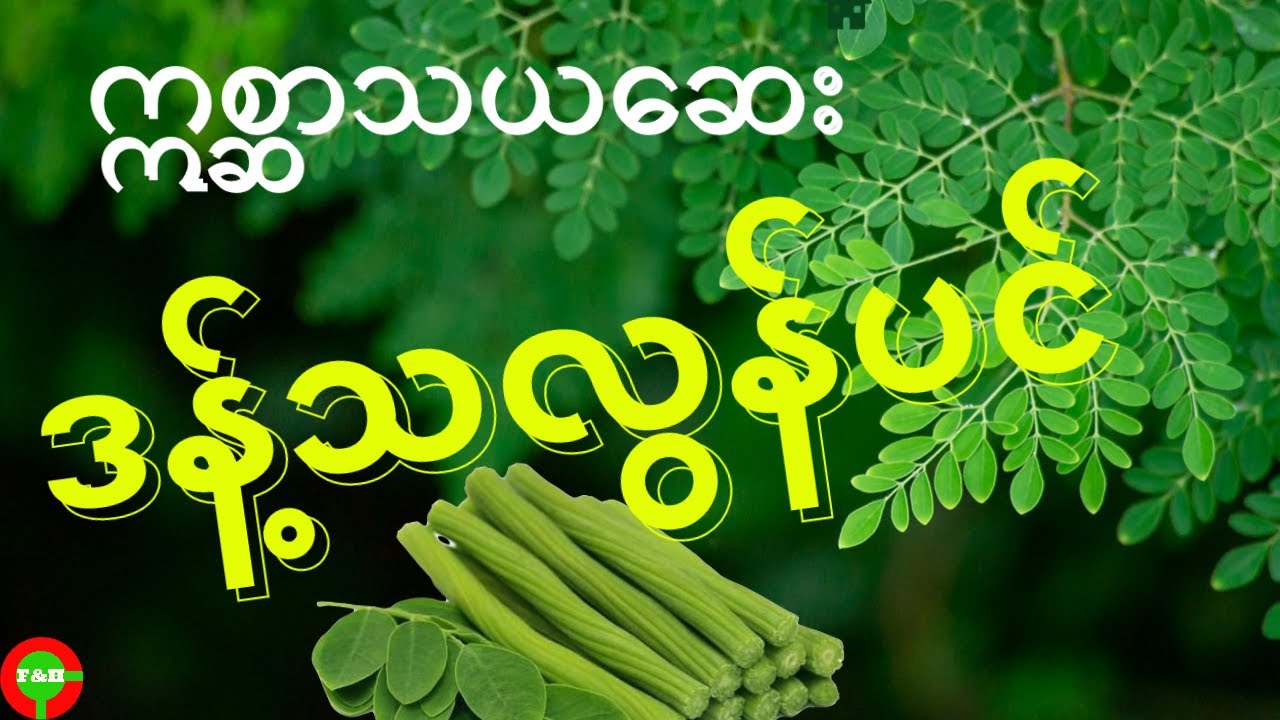 ဒန့်သလွန်၊ ဒန့်ဒလွန် အစွမ်း