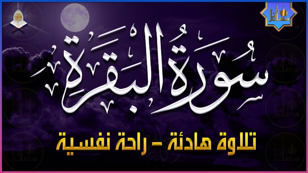 سورة البقرة تلاوة هادئة ومريحه جداً تسمعها قبل النوم😴ارح سمعك وقلبك💙Sourat Al Baqara full