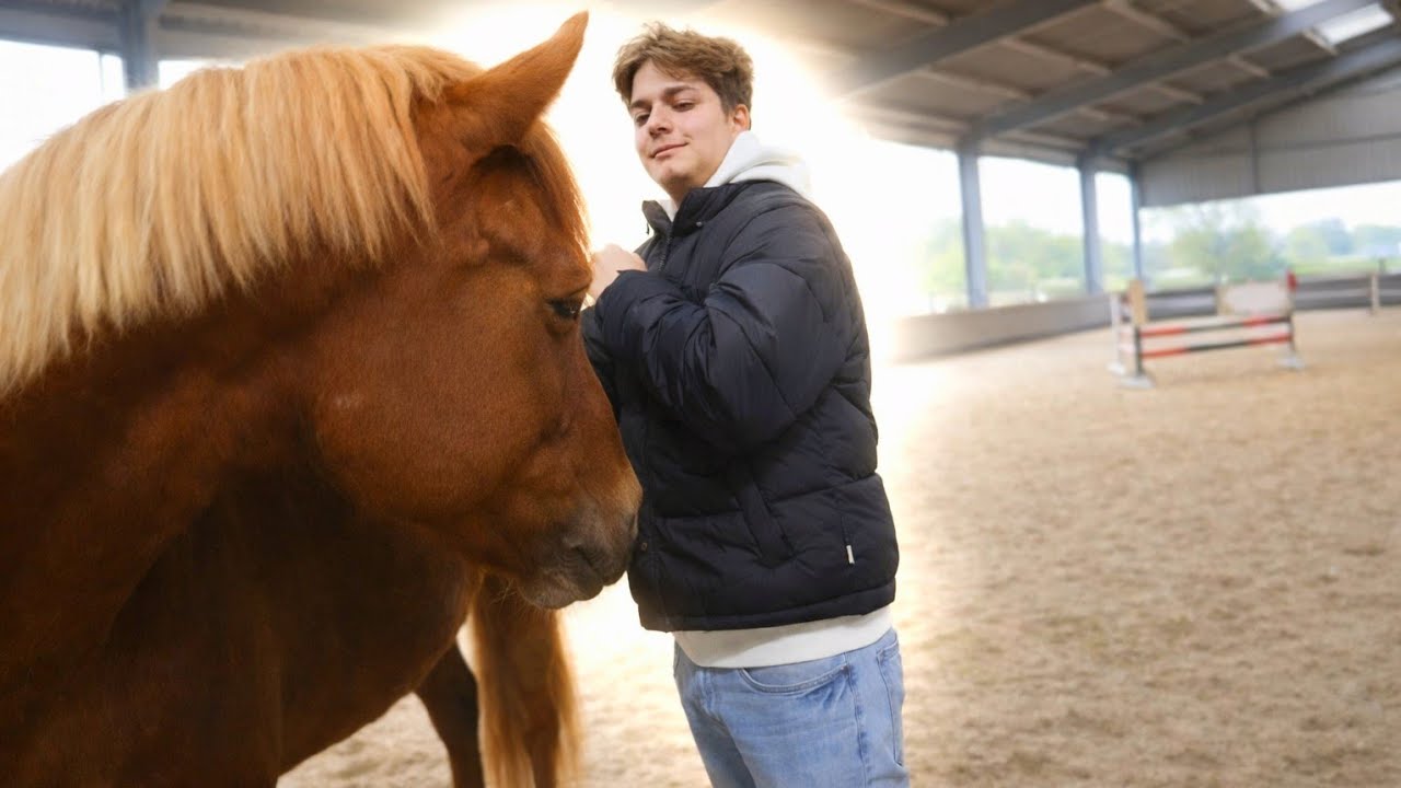 Paard probeerde mij te bijten 😳🐴