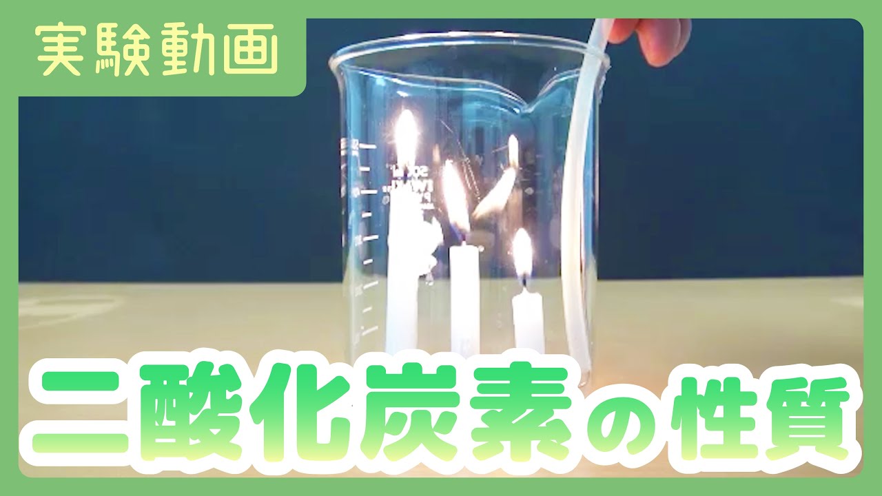 【実験動画】二酸化炭素の性質