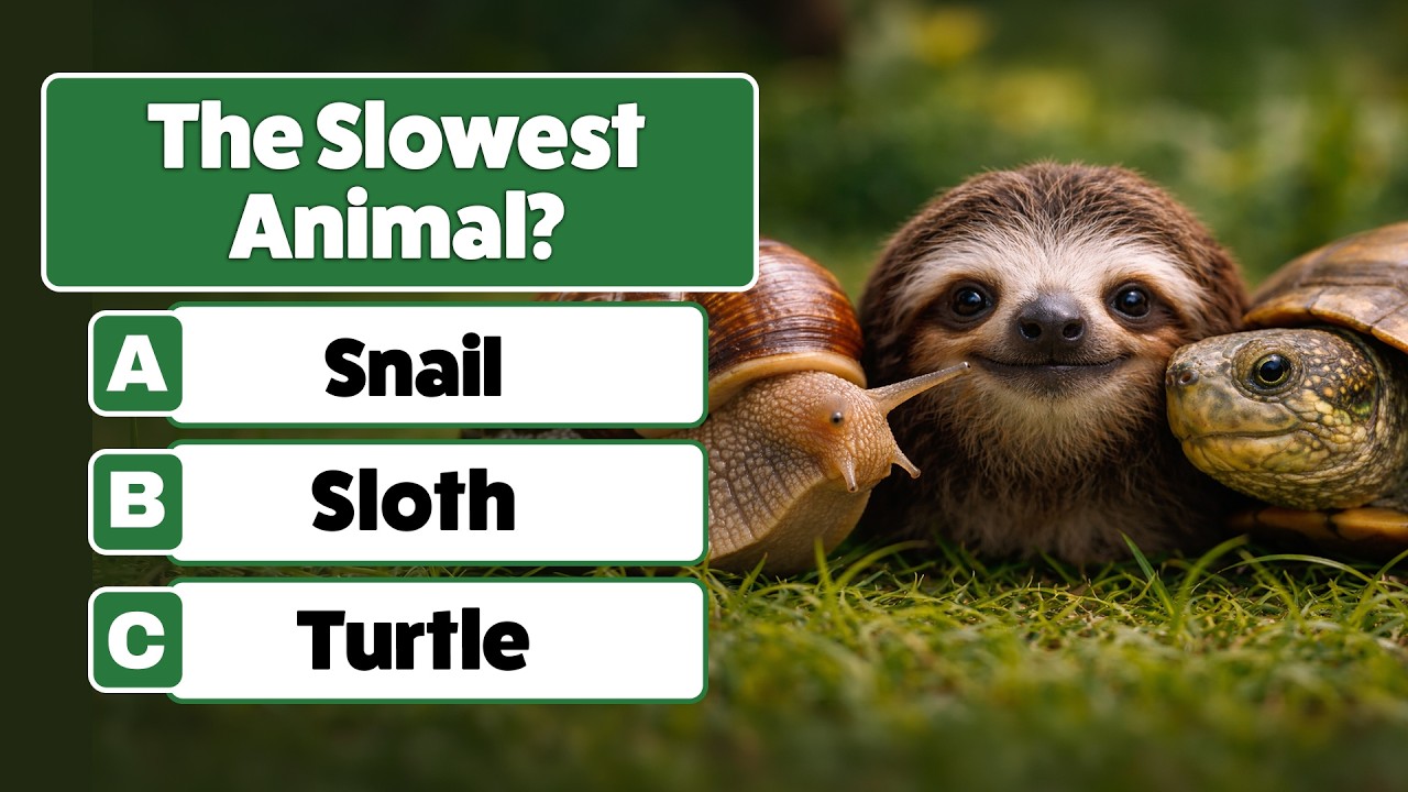 Can You Pass This Animal Quiz? 🤔 Challenge Yourself 💡