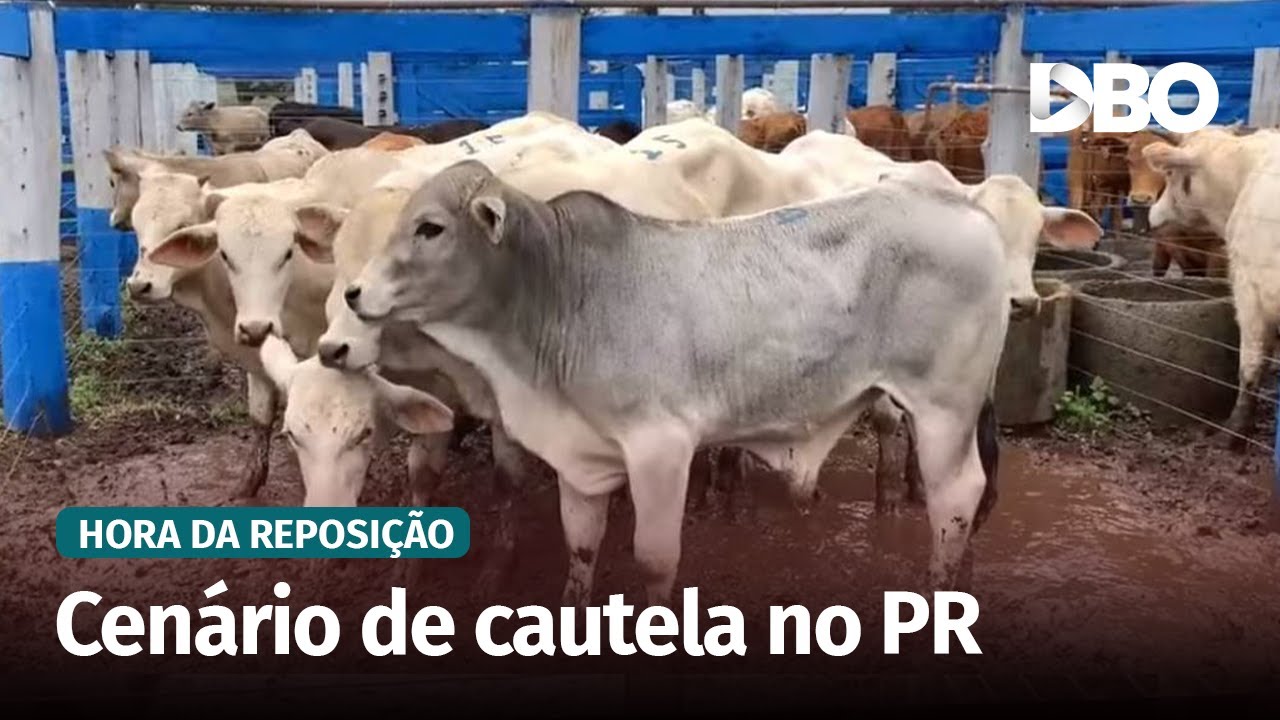 Investidor se retrai e mercado de reposição desacelera no Paraná
