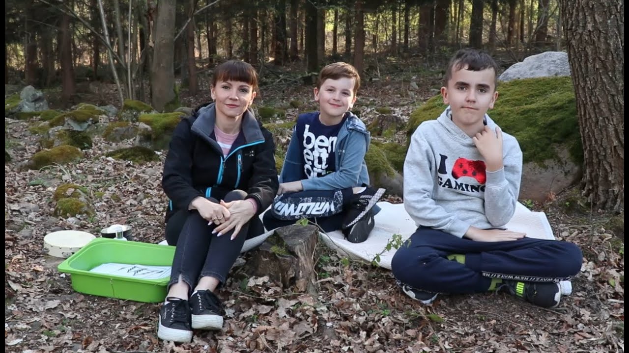 Poranny krąg w lesie