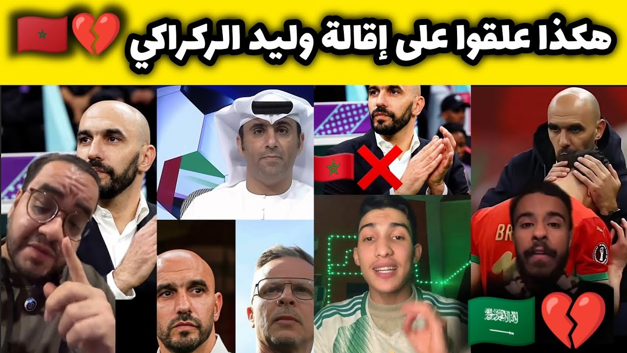 لن تصدق كيف علق العرب على إقالة وليد الركراكي مدرب المغرب و تعويضه ب وهبي