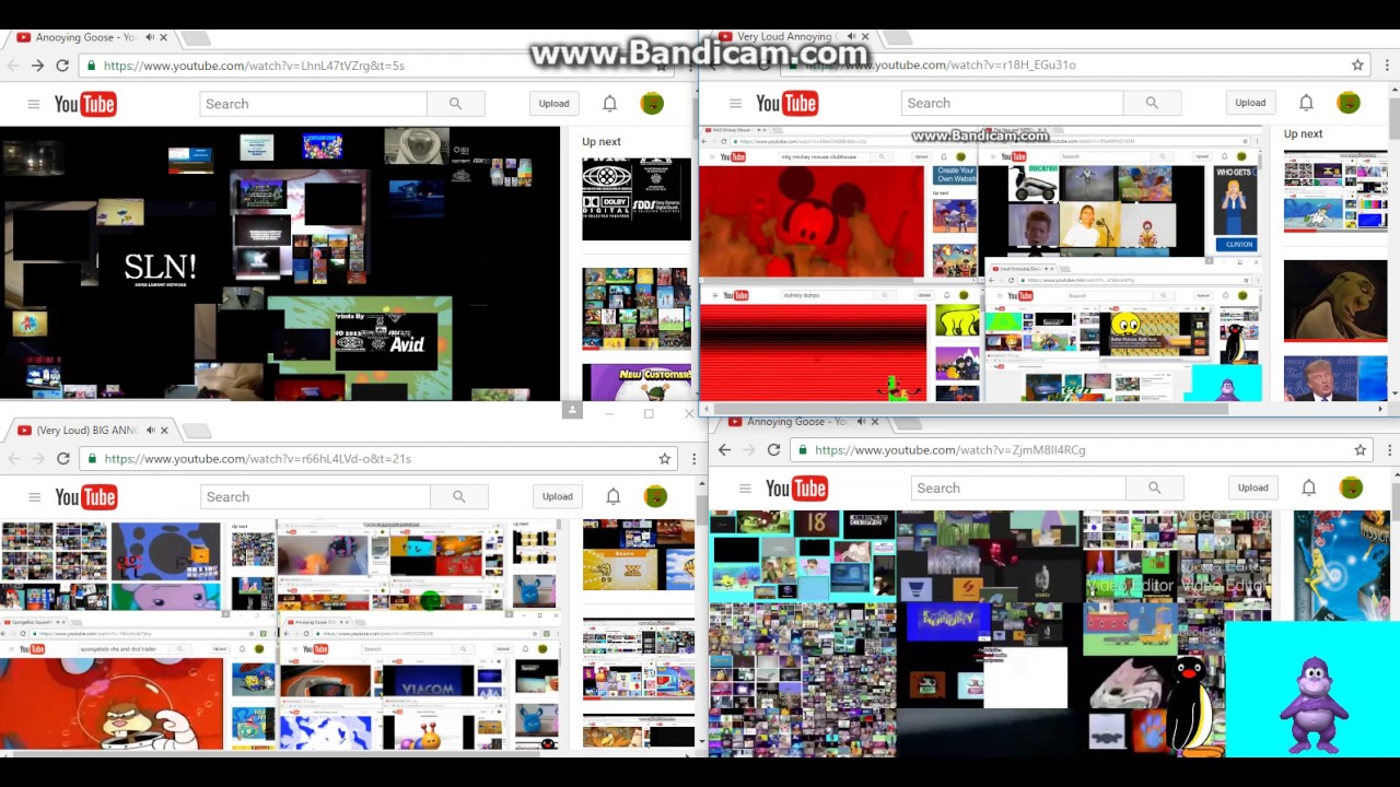 Way too much Annoying Goose