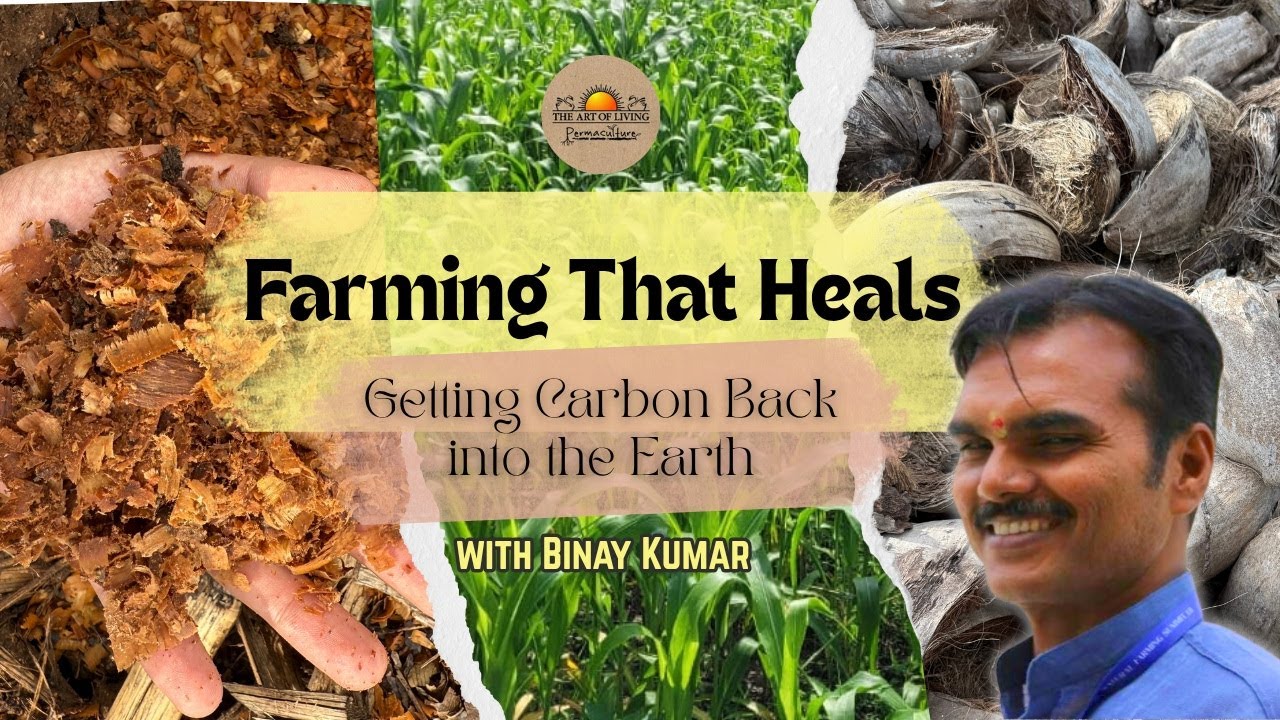 The Art of Growing Food?!  Permaculture & Beyond Program !!!