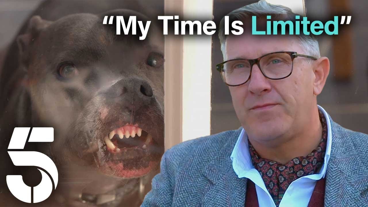 Attention Seeking Staffy Is Ruining Precious Family Time | Dogs Behaving (Very) Badly | Channel 5