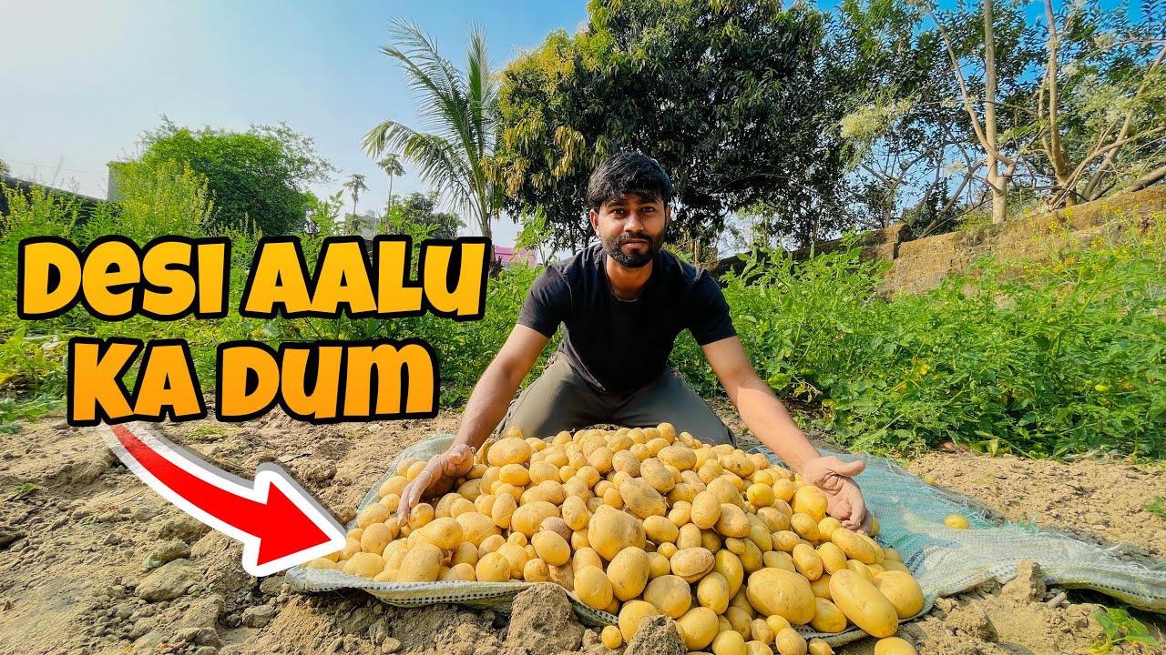 Sara aalu khood die 😍village ka | Village lifestyle vlog