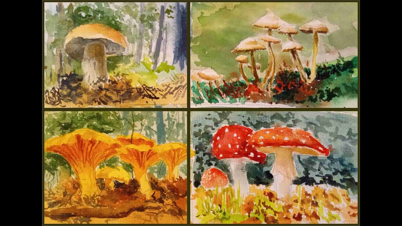 4 Mushroom Studies | Full Relaxing Process (No Speed-Up)