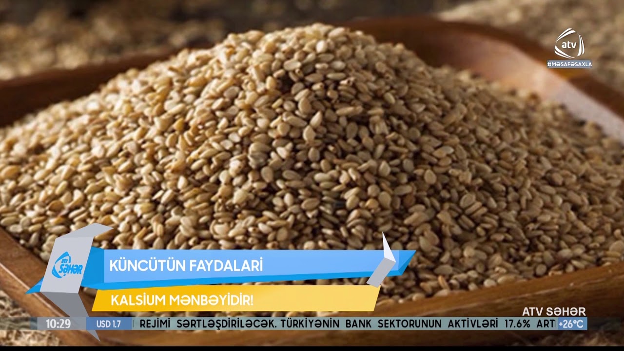 Küncütün faydaları (ATV Səhər)