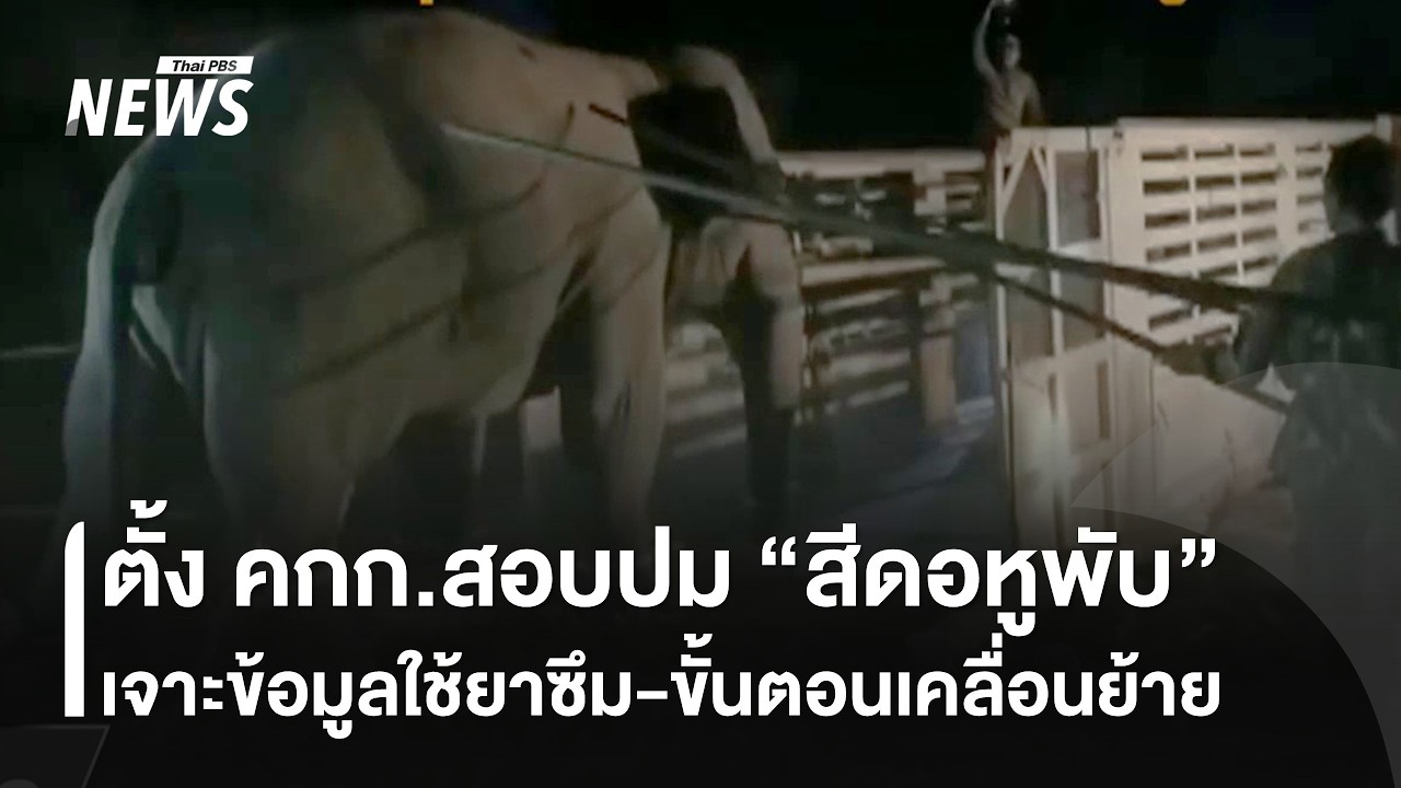 ตั้ง คกก.สอบปม 