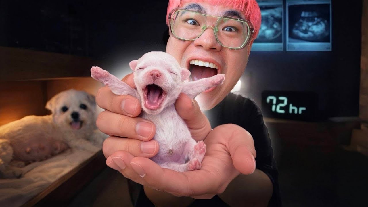 72 ชม. แห่งการรอคอย ทำคลอดทารกน้อย!! 🐶 