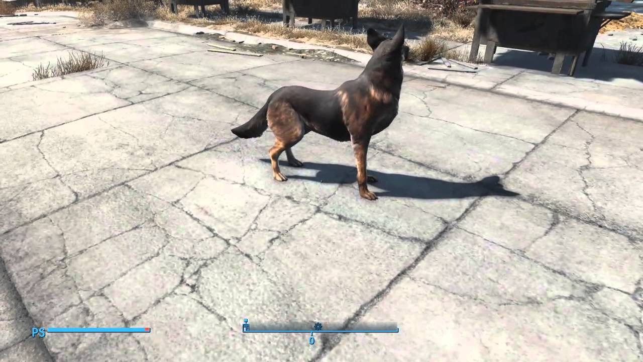 Fallout 4 - Tutorial Glitch : Sei S.P.E.C.I.A.L. infiniti