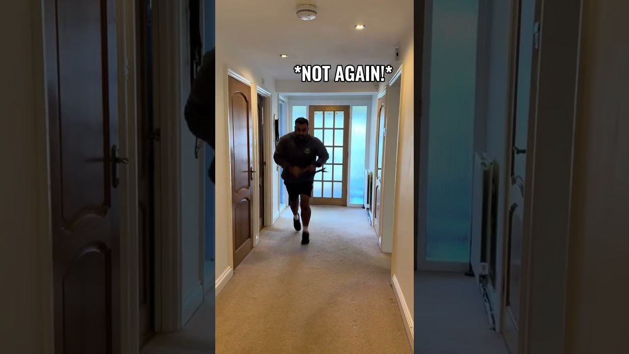 POV: your dog runs away from the harness 