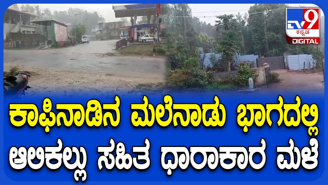 Chikkamagaluru Rain: ಆಲಿಕಲ್ಲು ಸಹಿತ ಬಿರುಗಾಳಿಯೊಂದಿಗೆ ಮಳೆ ಆರ್ಭಟ | #TV9D