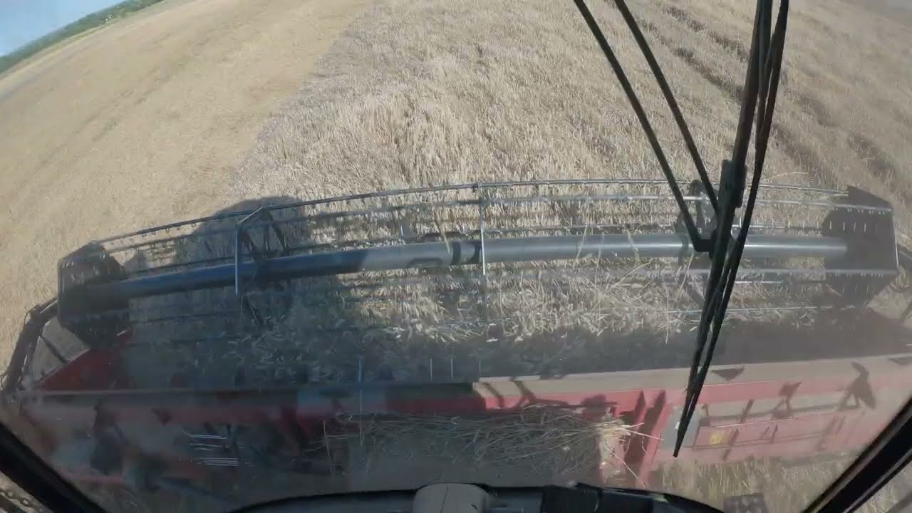Typowy dzień koszenia na Kamienistym polu Axial flow 7240, Kamień pękł na pół!