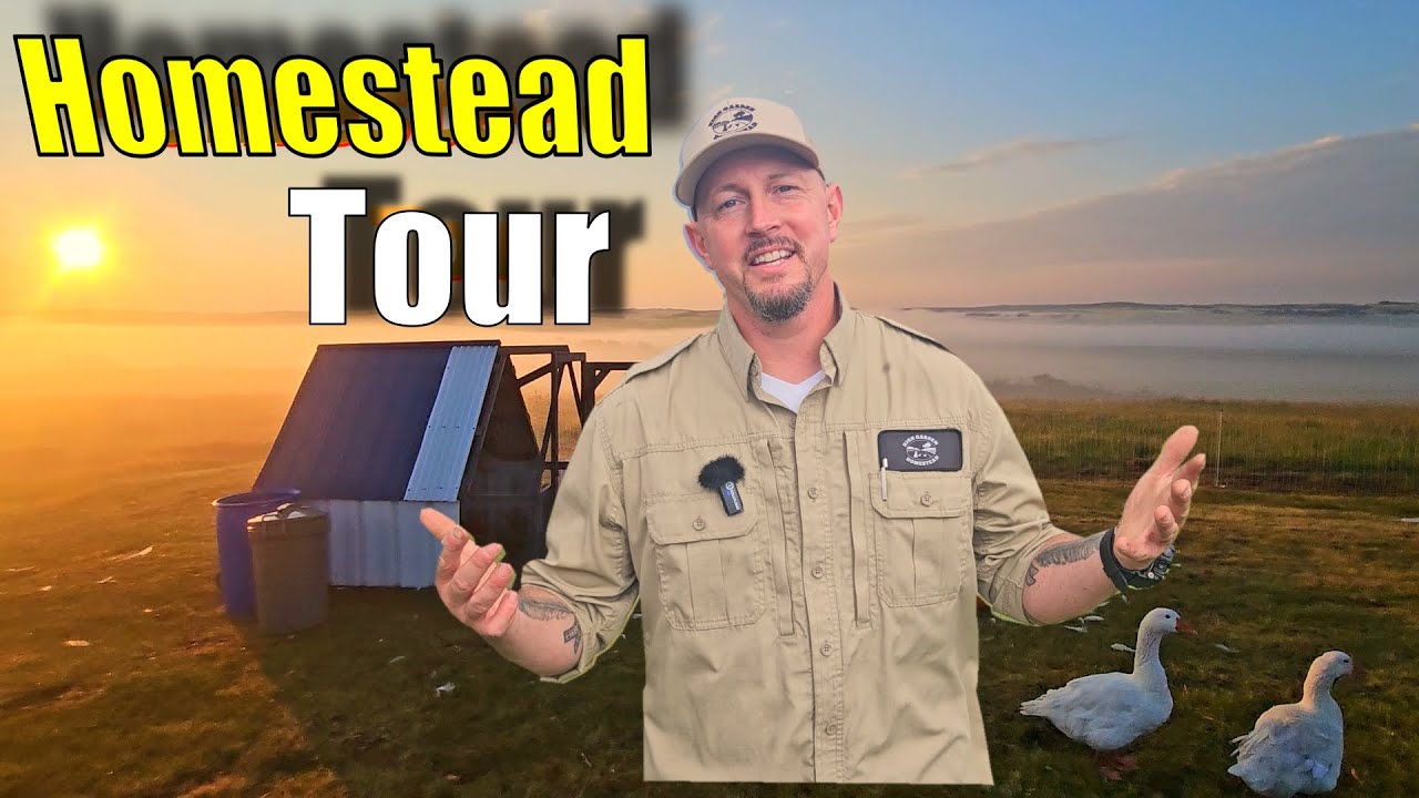 First Look at Our Dream Homestead