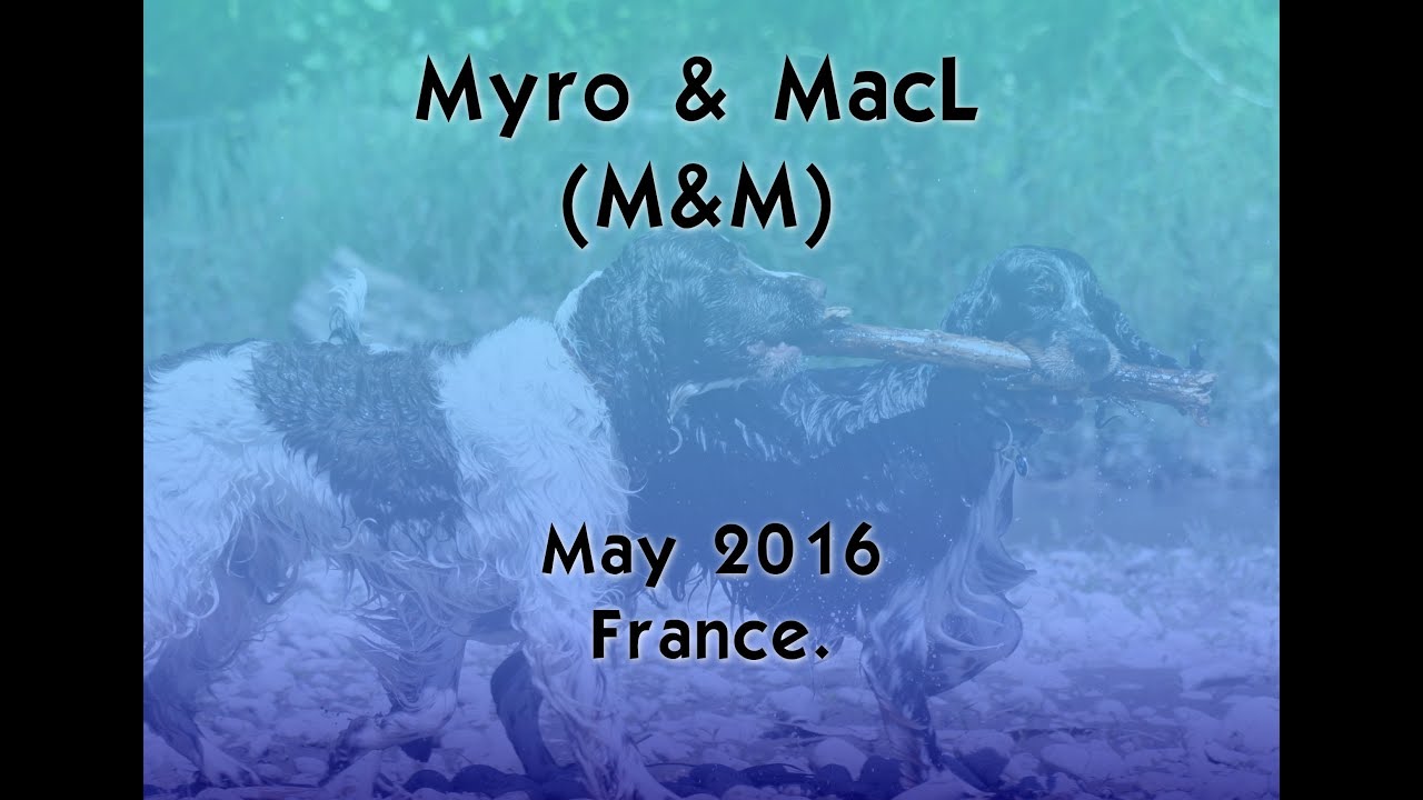 M&M France 2016