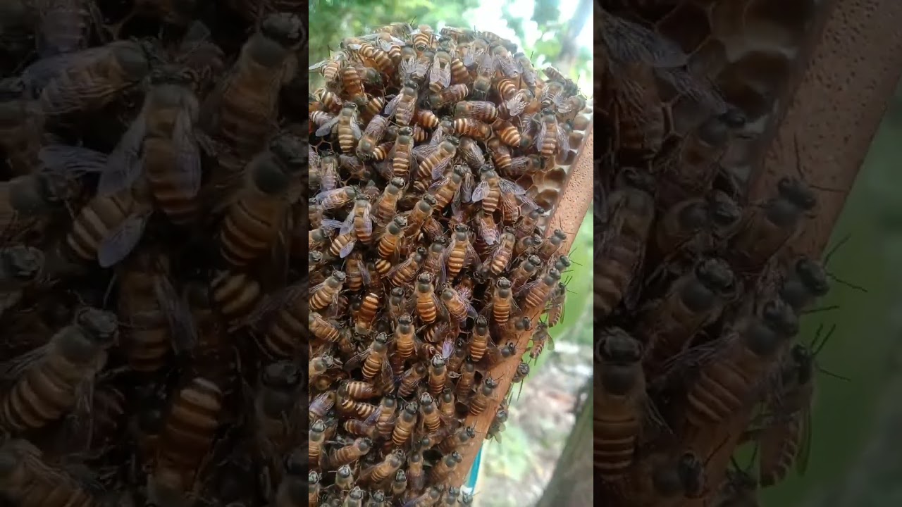 Dampak tiap hari hujan 
