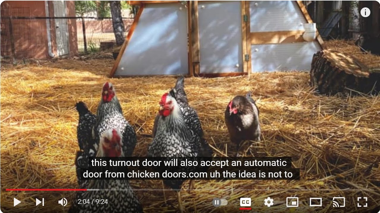 Loft Chicken Coop CAD Design Overview Video