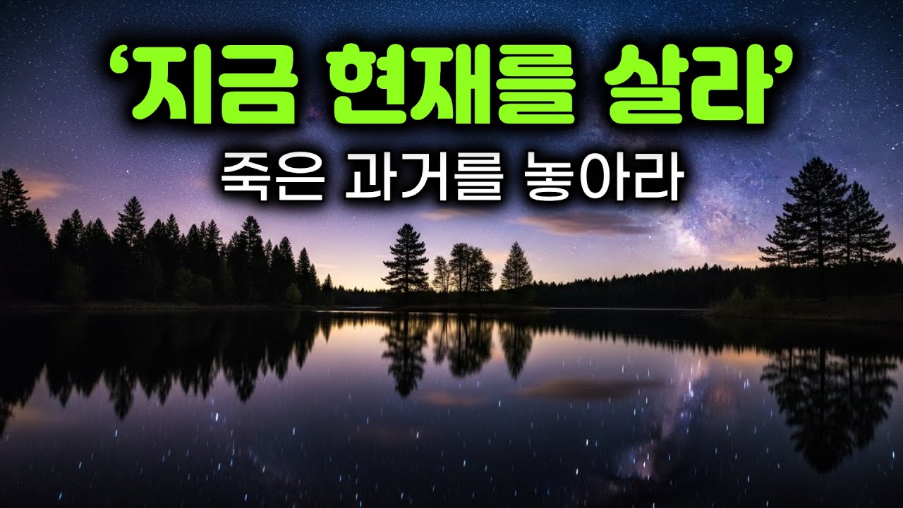 나는 왜 과거에 갇혀 살까? | 부처님이 알려주는 ‘현재를 사는 법’ | 현재를 사는 자가 행복하다 | 과거에 매이지 않는 불교의 지혜 | #부처님가르침