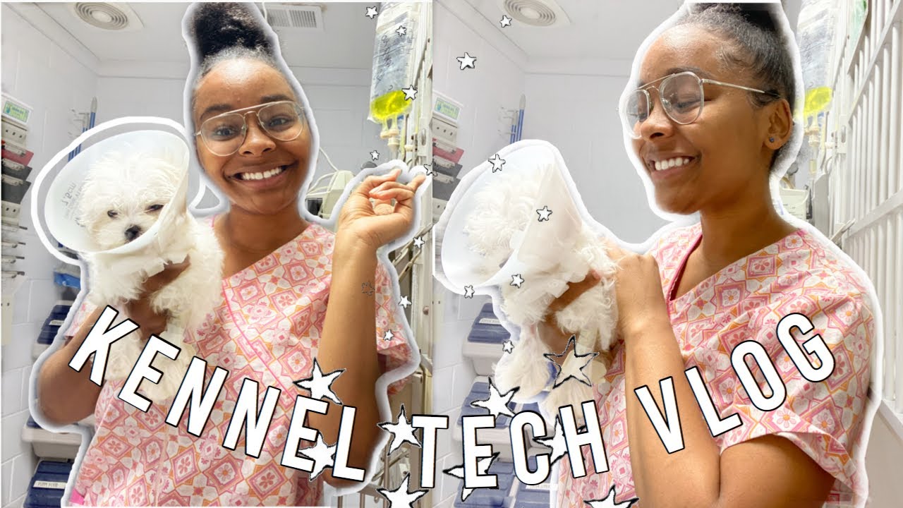 kennel tech vlog 🐶|come to work with me| what I do for work?✨