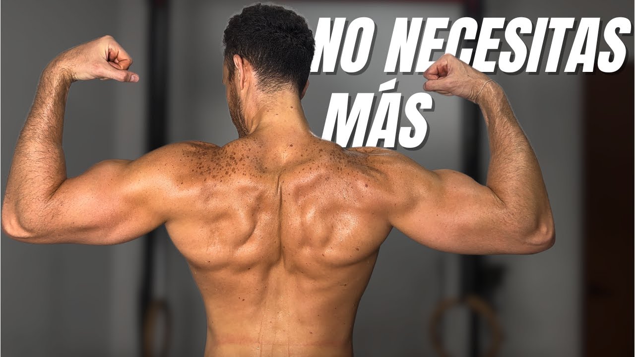 No necesitas más ejercicios  dominadas y fondos para brazos grandes