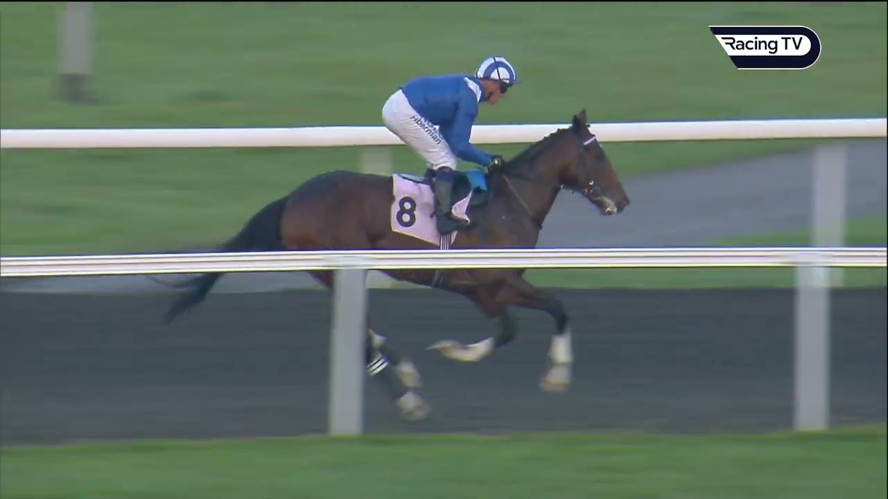 How far for MUKAAFAH on debut at Kempton! Impressive stuff from the son of Blue Point