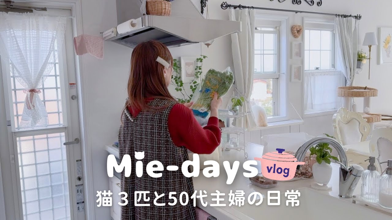3 кошки и хозяйка за 50: спокойное весеннее время дома 🏡