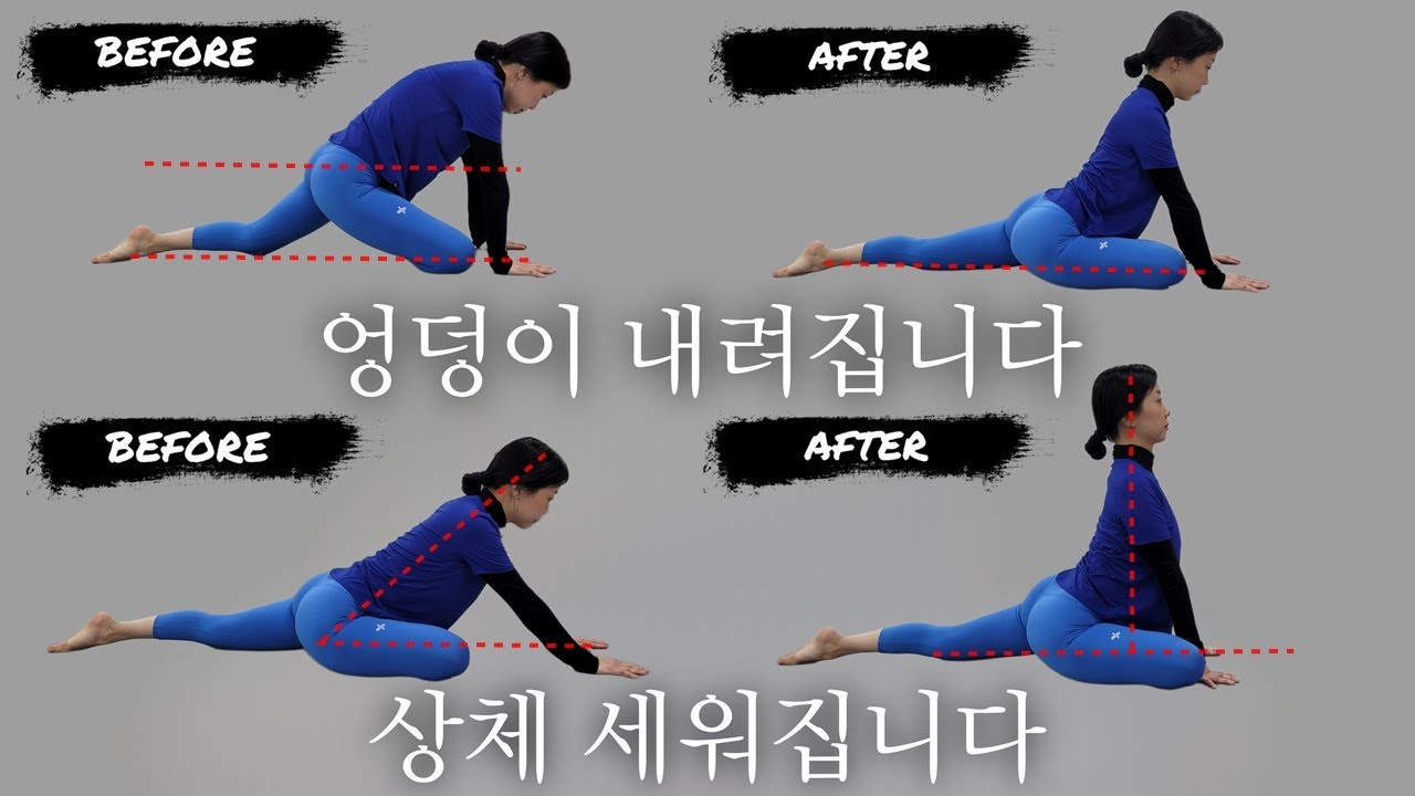 비둘기자세 이렇게 연습하세요(왕비둘기,백캄블레 tip)