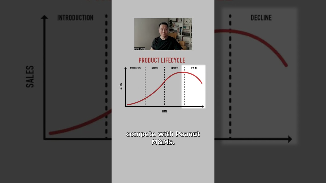 The Product Lifecycle
