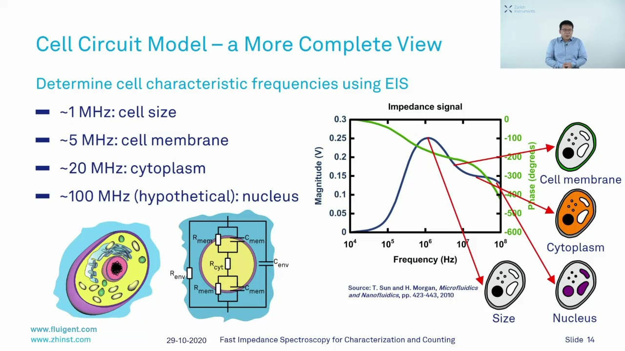 [Webinar Replay] Fast impedance spectroscopy for characterization and counting | FLUIGENT.COM