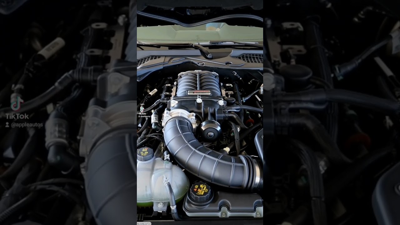 Ford Performance Roush Supercharger Kit. Just Listen.