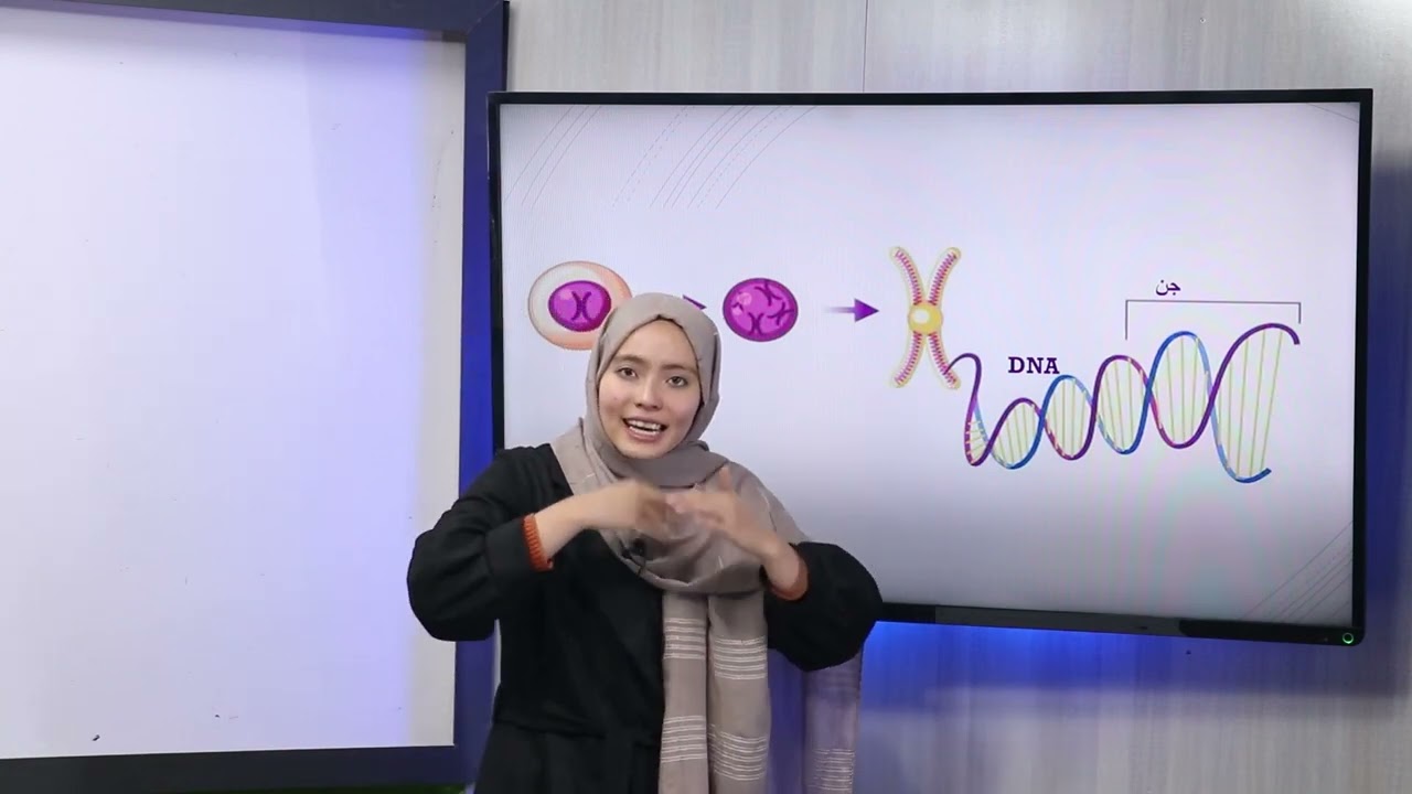 31 صنف دهم مضمون بیولوژی کروموزوم جسم هر انسان از دو نوع حجرات ساخته شده است