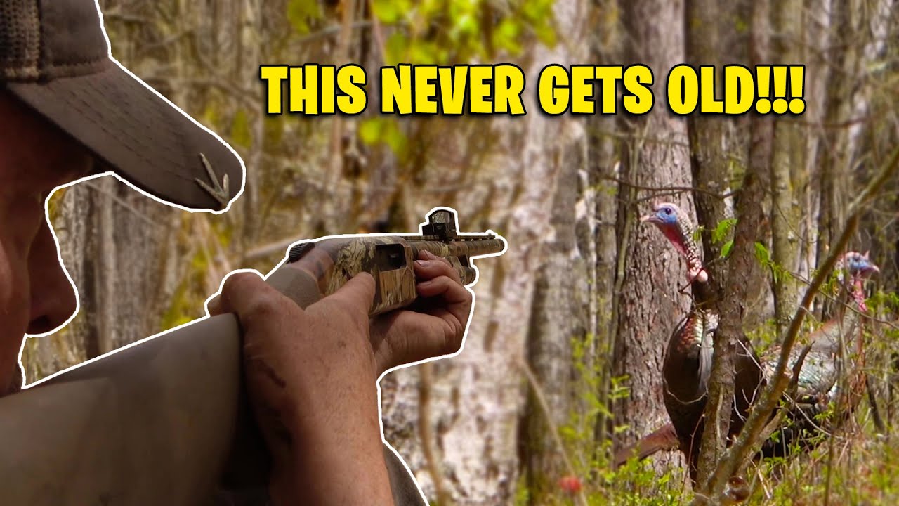 Almost Had A Panic Attack! - Timber Gobblers Are The Best