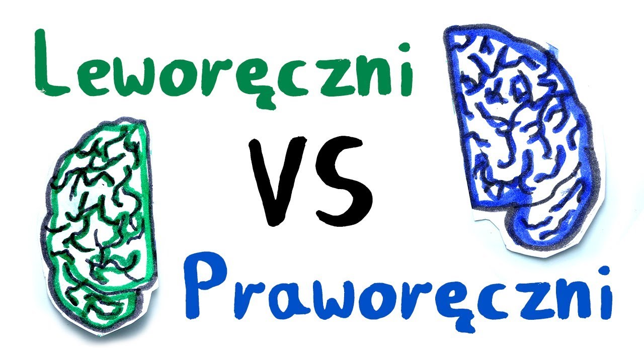 Leworęczni vs Praworęczni! Co nas różni i dlaczego jedna ręka człowieka dominuje nad drugą?