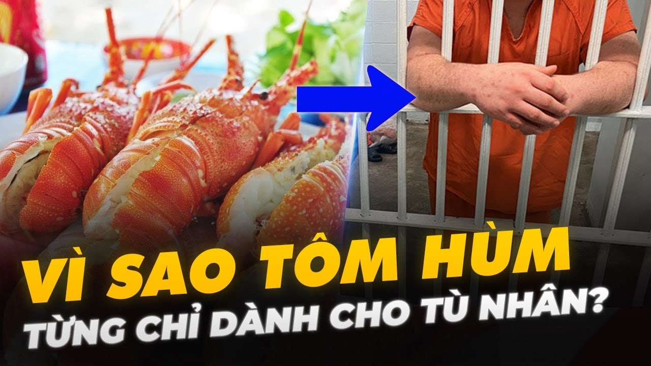 VÌ SAO TÔM HÙM TỪNG CHỈ DÀNH CHO TÙ NHÂN?