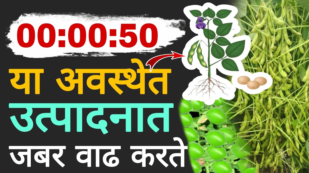 00:00:50 संपूर्ण माहिती | Dnyaneshwar Kharat Patil