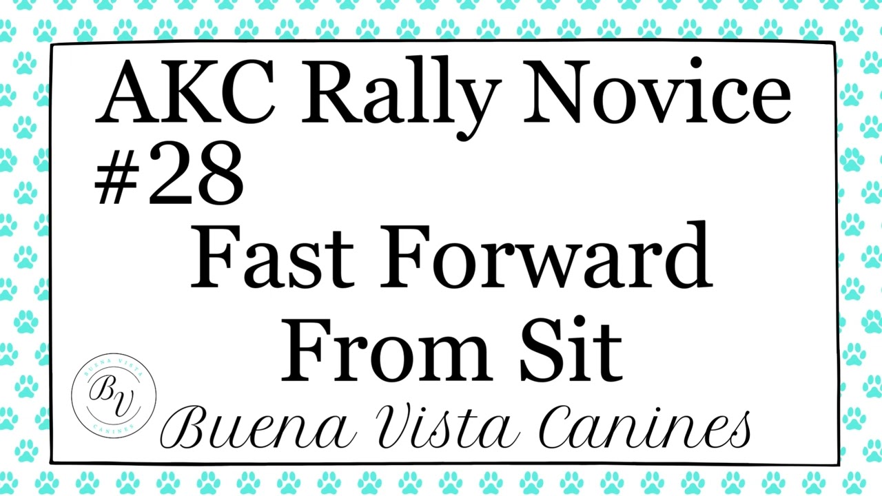 AKC Rally Novice 1-42
