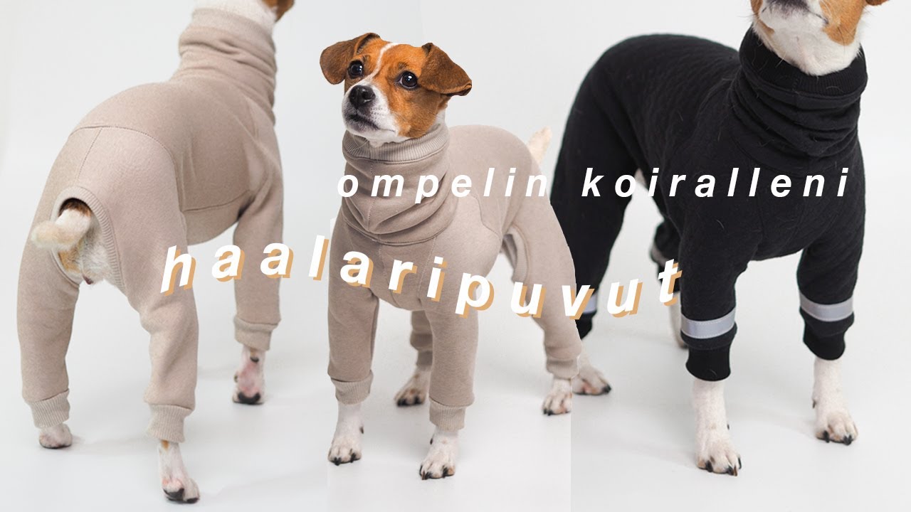OMPELE MINUN KANSSA || Koiran haalarit 🐶