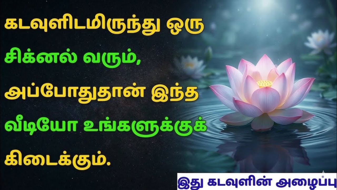 11:11, 2:22 போன்ற எண்கள் ஏன் தோன்றுகிறது? பிரபஞ்சத்தின் ரகசியம்