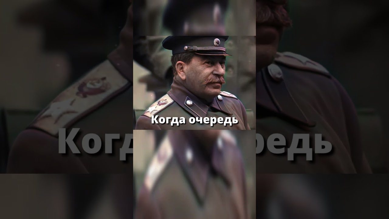 Секретная история после Ялтинской конференции: Сталин, Черчилль и медведь #ссср #анекдот #анекдоты