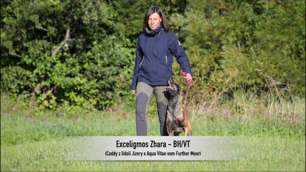 Exceligmos Zhara - BH/VT