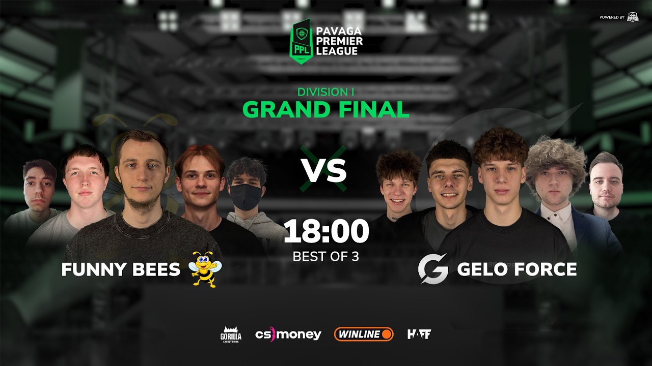 PPL S6 GRAND FINAL:  Funny Bees vs GELO Force