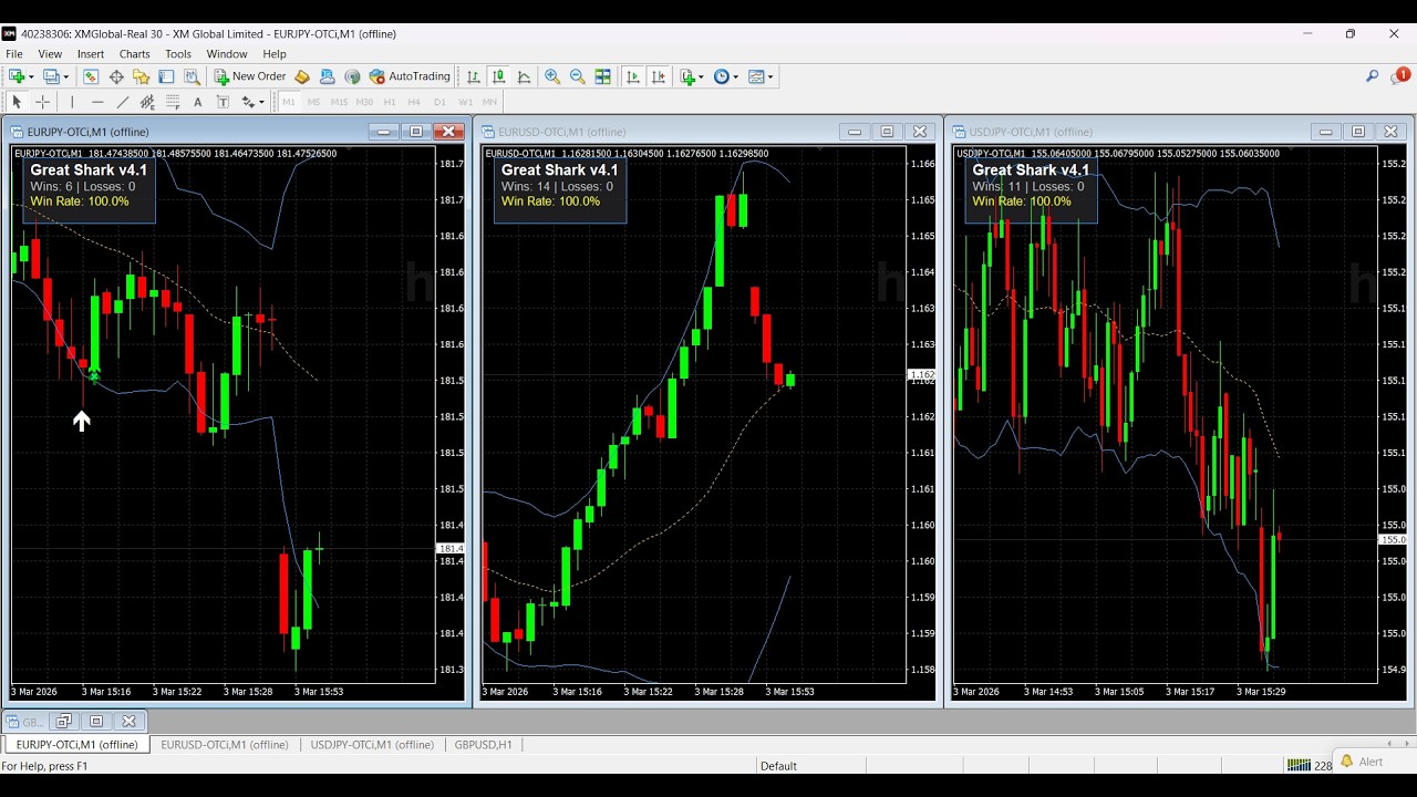 🔴 تداول مباشر على منصة QUOTEX 📈 | تداول مباشر | مؤشر MT4 Great Shark V4.1 | بدون مضاعفات