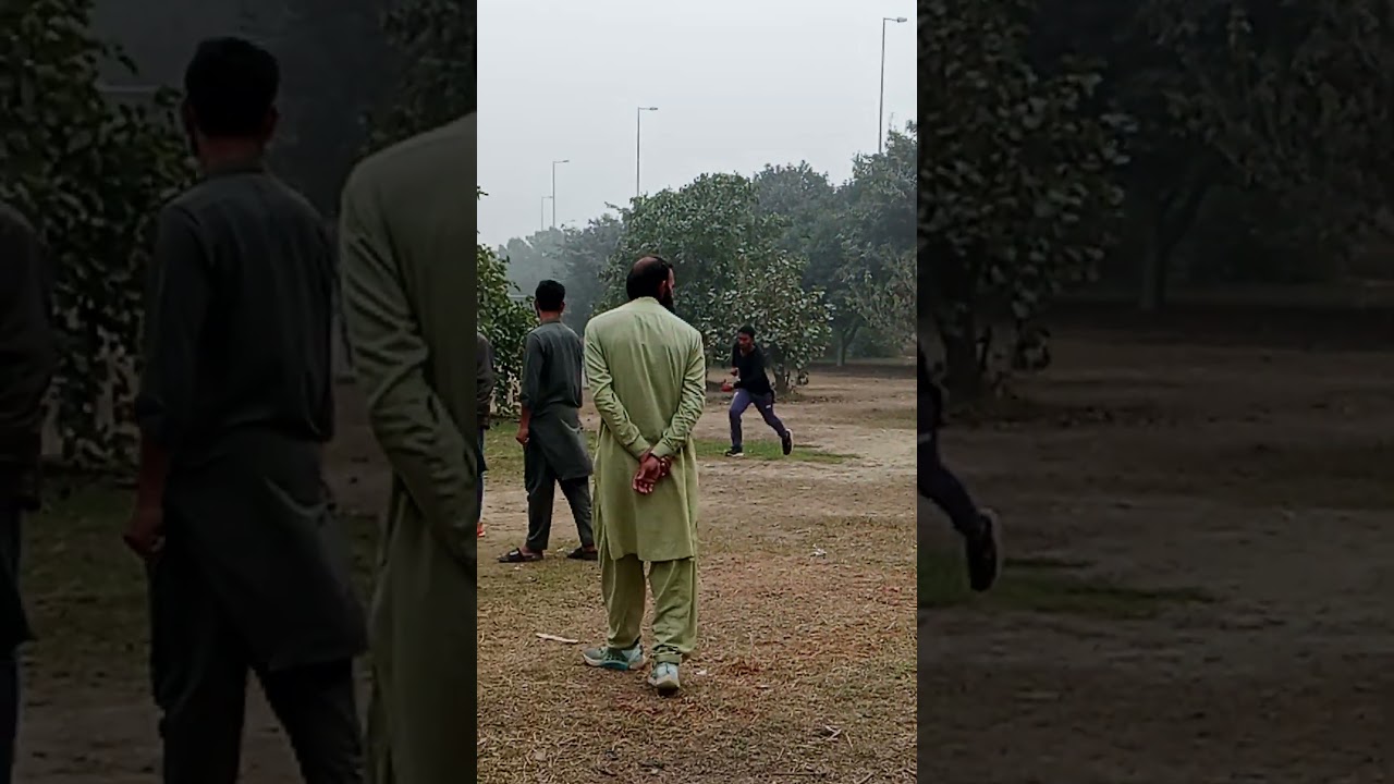 cricket 🏏 