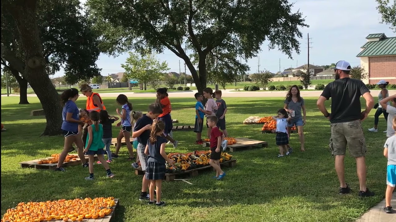 Unloading Pumpkins