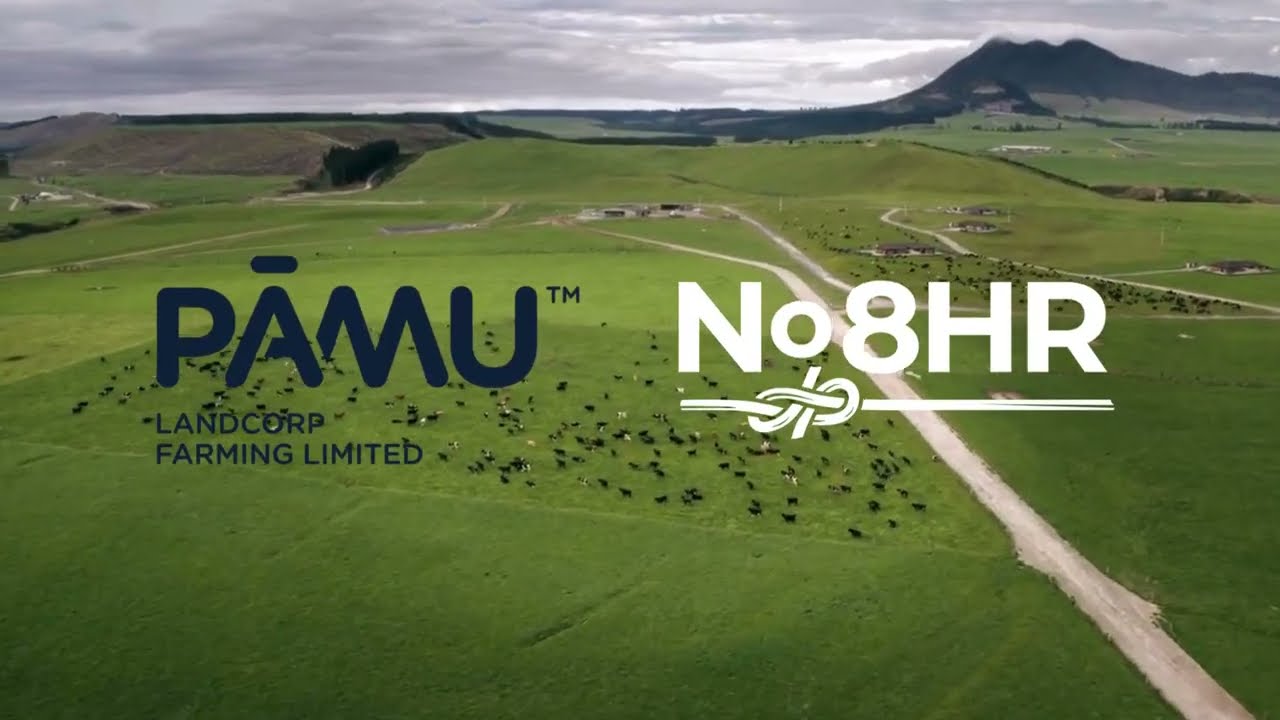 Pāmu - Q&A with Scott & Rebecca