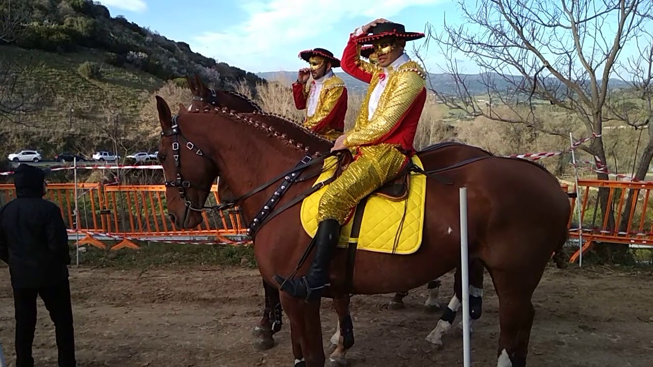 Carnevale Oniferi