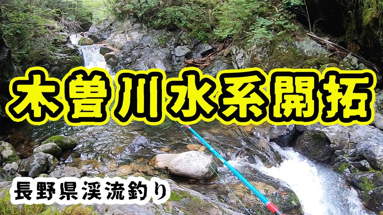 長野県で一番アツい？木曽川水系で渓流開拓！ヤマトイワナどこに？